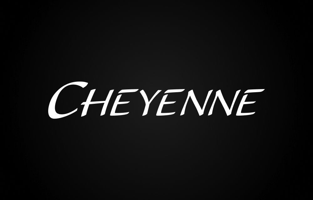 Profi Tattoo Geräte, Module und Nadeln von Cheyenne